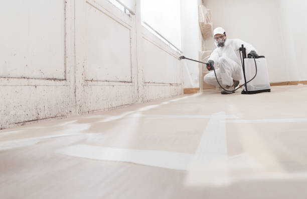 24/7 Emergency Commercial Mold Remediation experts in Frederick, MD